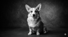 20260101_161224000_iOS