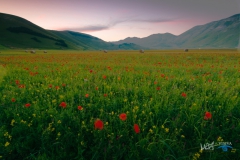 0696-castelluccio-HDR-Modifica-Fiorita-070716