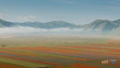 0922-castelluccio-Fiorita-080716