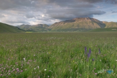 7274-Castelluccio--180616