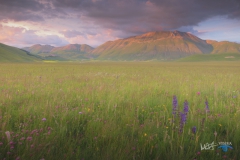 7281-Castelluccio--180616