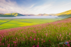 7470-Castelluccio--190616