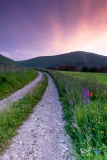 7651-castelluccio--240616