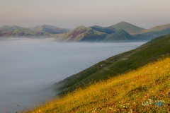 7856-castelluccio--250616