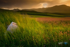 7981-Tramonto_castelluccio-HDR--250616