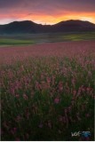 8003-Tramonto_Castelluccio-HDR--250616