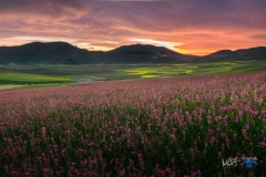 8007-Tramonto_Castelluccio-HDR--250616