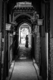 8630-Marocco-Migliorato-NR-010624