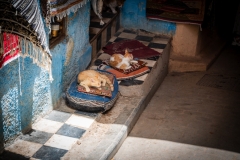 8632-Marocco-010624