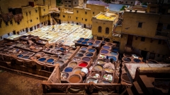 8641-Marocco-010624