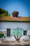 8664-Marocco-020624