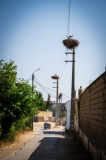 8669-Marocco-020624