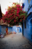 8779-Marocco-020624