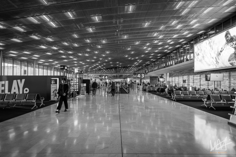 0232_NYC_2026-101026