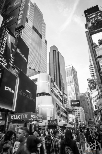 0239_NYC_2026-101026
