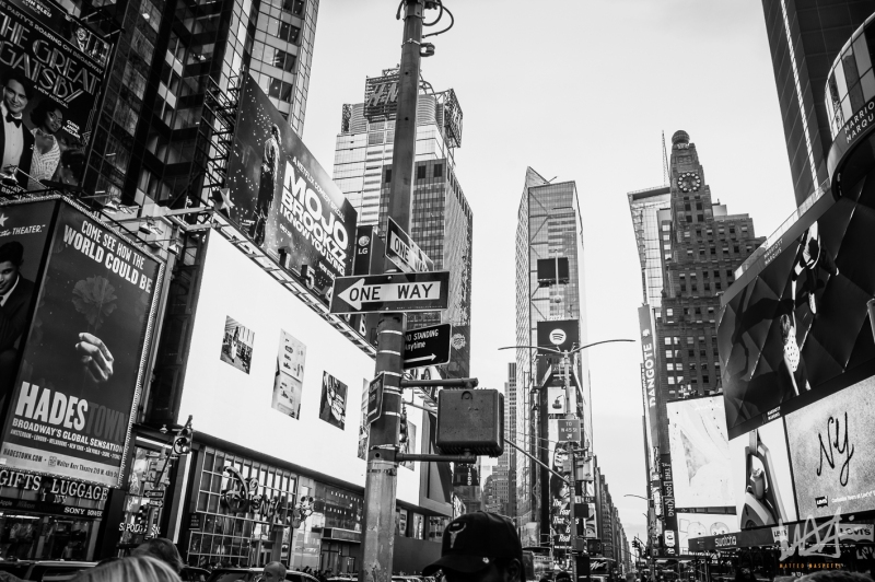 0256_NYC_2026-101026