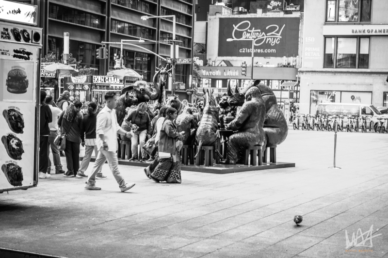 0463_NYC_2026-121026