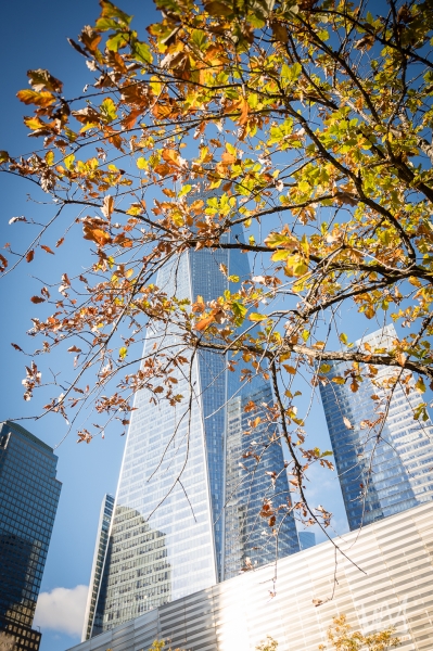 0480_NYC_2026-121026