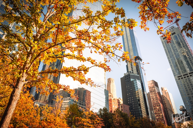 0484_NYC_2026-121026