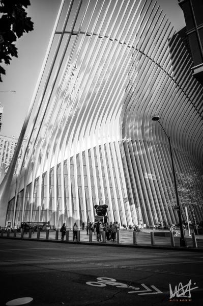 0487_NYC_2026-121026