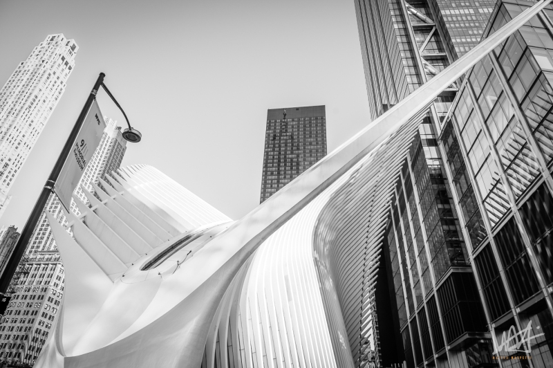 0493_NYC_2026-121026
