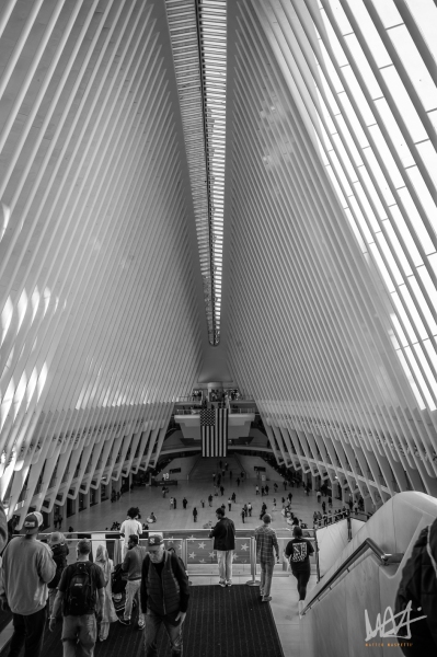 0499_NYC_2026-121026