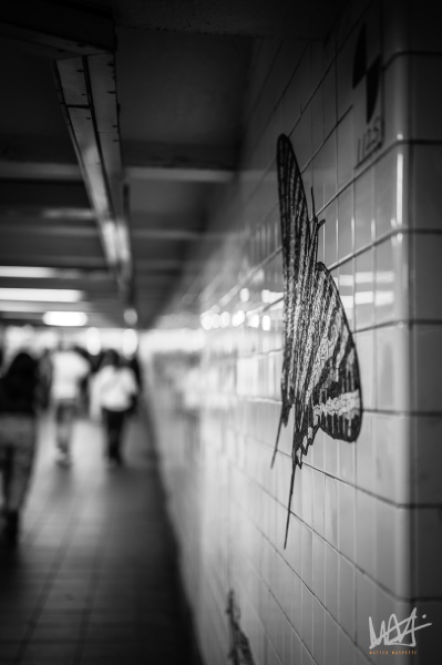 0539_NYC_2026-131026