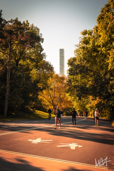 0546_NYC_2026-131026
