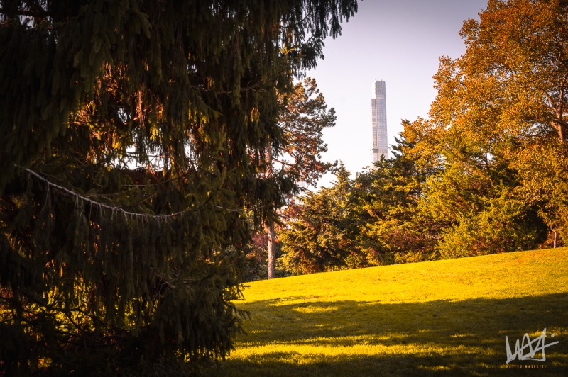 0549_NYC_2026-131026