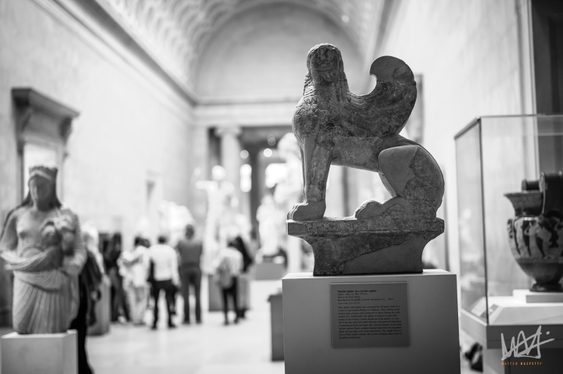 0567_NYC_2026-131026