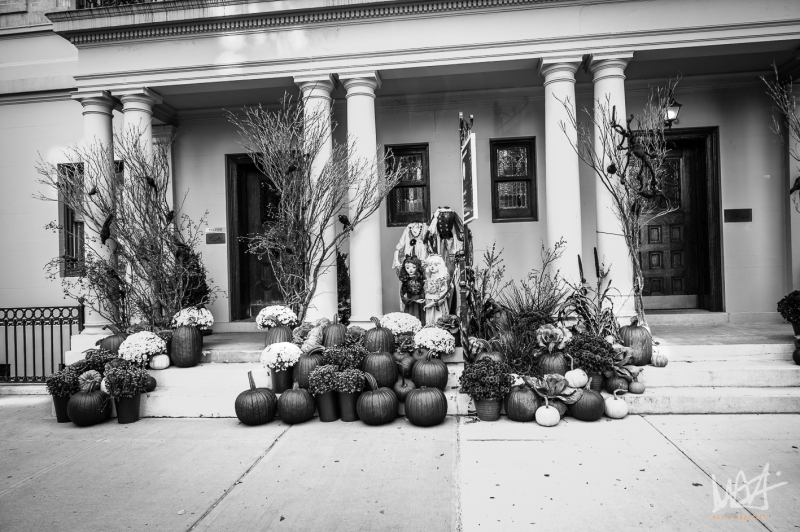 0598_NYC_2026-131026