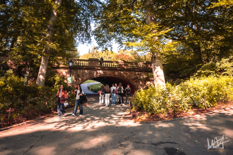 0599_NYC_2026-131026