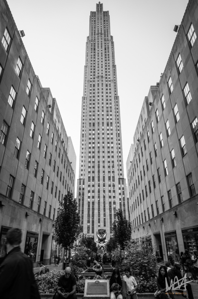 0633_NYC_2026-131026