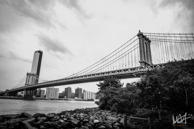 0731_NYC_2026-141026