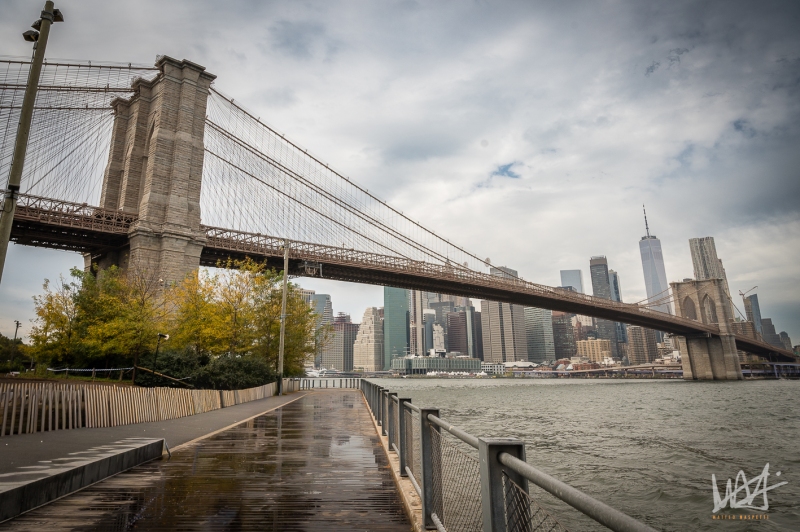 0741_NYC_2026-141026