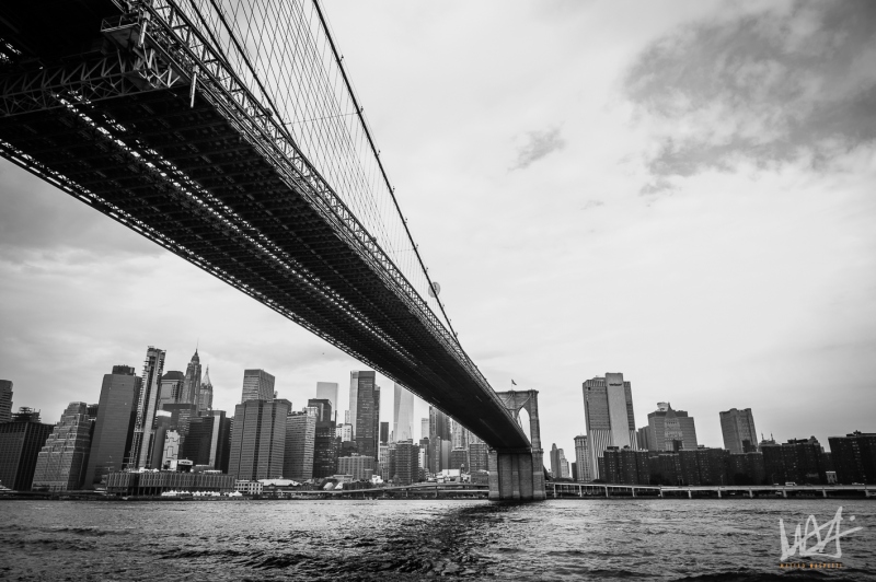 0744_NYC_2026-141026