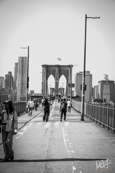 0763_NYC_2026-141026