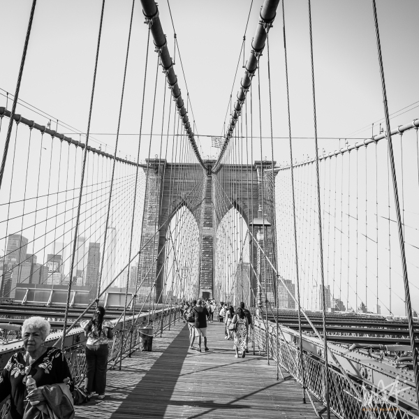 0786_NYC_2026-141026