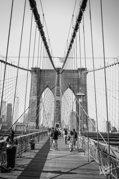 0788_NYC_2026-141026