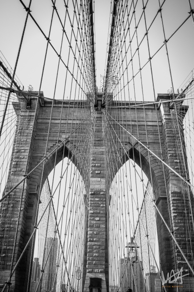 0797_NYC_2026-141026