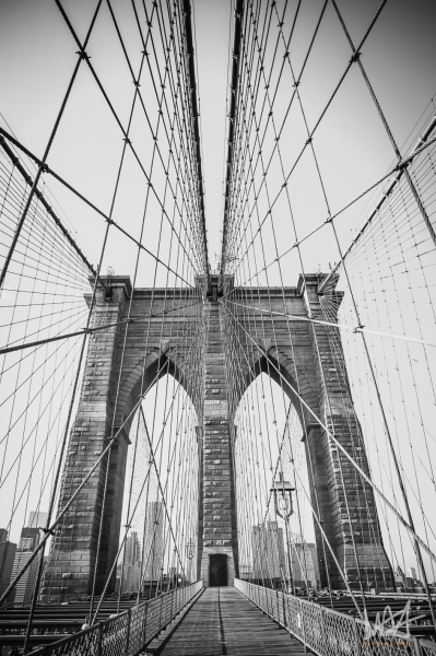 0798_NYC_2026-Modifica-141026