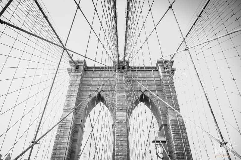 0801_NYC_2026-141026