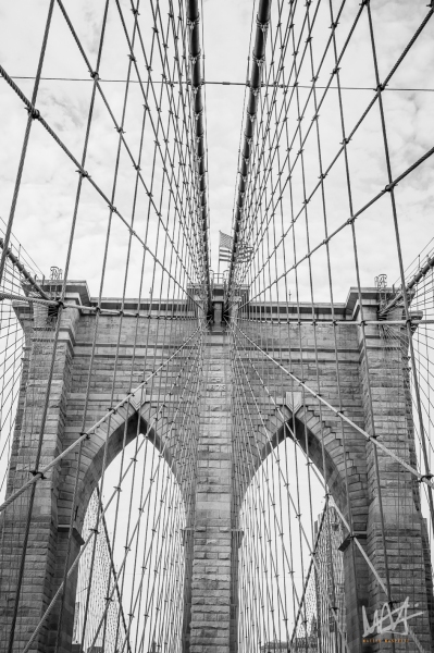0811_NYC_2026-141026