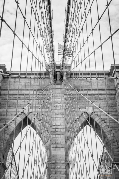0817_NYC_2026-141026