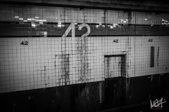 0388_NYC_2026-111026