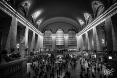 0391_NYC_2026-111026