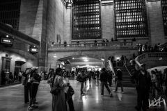 0393_NYC_2026-111026