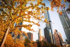 0484_NYC_2026-121026