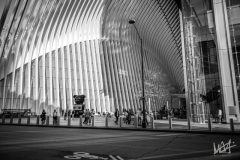 0489_NYC_2026-121026