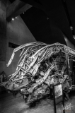 0518_NYC_2026-121026